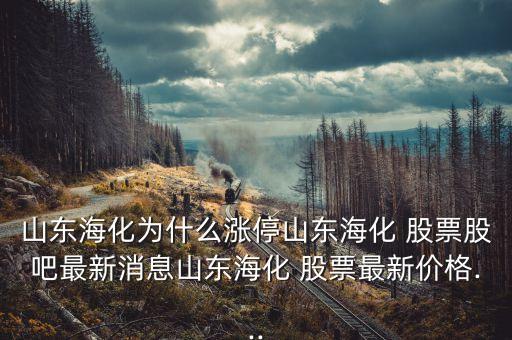 山東?；癁槭裁礉q停山東?；?股票股吧最新消息山東海化 股票最新價(jià)格...
