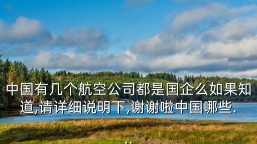 中國有幾個航空公司都是國企么如果知道,請詳細(xì)說明下,謝謝啦中國哪些...