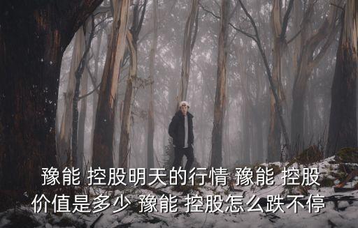  豫能 控股明天的行情 豫能 控股價(jià)值是多少 豫能 控股怎么跌不停
