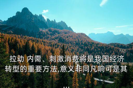  拉動 內(nèi)需、刺激消費將是我國經(jīng)濟轉(zhuǎn)型的重要方法,意義非同凡響可是其...