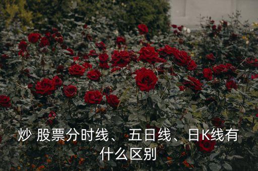 炒 股票分時(shí)線、 五日線、日K線有什么區(qū)別