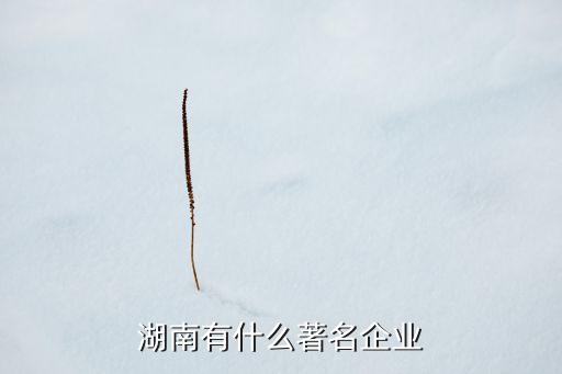 湖南有什么著名企業(yè)