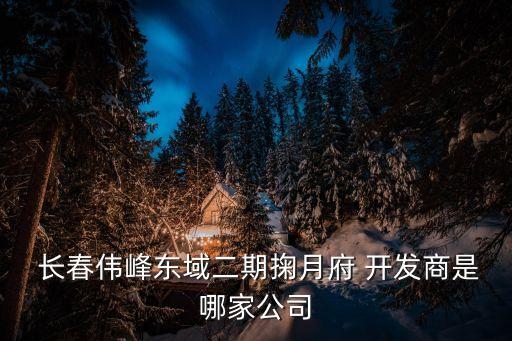  長(zhǎng)春偉峰東域二期掬月府 開(kāi)發(fā)商是哪家公司