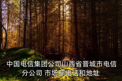  中國(guó)電信集團(tuán)公司山西省晉城市電信分公司 市場(chǎng)部電話和地址