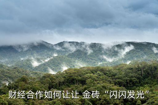 金磚國(guó)家開(kāi)發(fā)銀行面臨的挑戰(zhàn),新金磚國(guó)家開(kāi)發(fā)銀行
