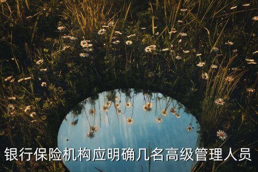 銀行保險機構應明確幾名高級管理人員