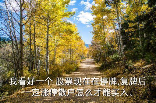 我看好一個(gè) 股票現(xiàn)在在停牌,復(fù)牌后一定漲停散戶怎么才能買入、