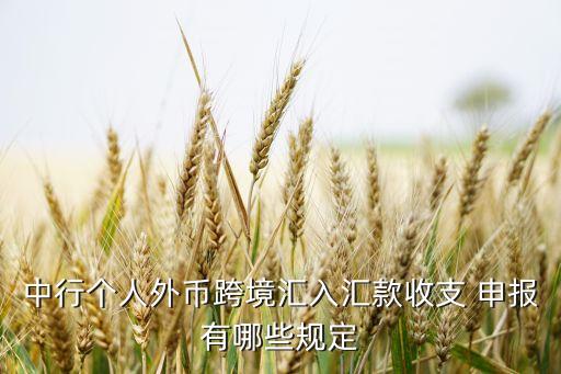 中行個人外幣跨境匯入匯款收支 申報有哪些規(guī)定