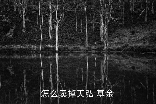 怎么賣(mài)掉天弘 基金