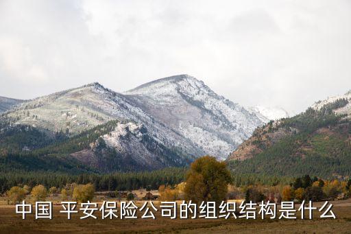 中國 平安保險公司的組織結構是什么