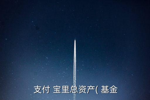  支付 寶里總資產( 基金