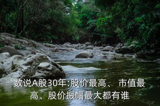 數(shù)說(shuō)A股30年:股價(jià)最高、 市值最高、股價(jià)振幅最大都有誰(shuí)