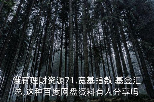 誰有理財資源71.寬基指數(shù) 基金匯總,這種百度網(wǎng)盤資料有人分享嗎