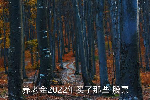  養(yǎng)老金2022年買(mǎi)了那些 股票