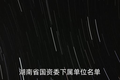 南嶺化工集團