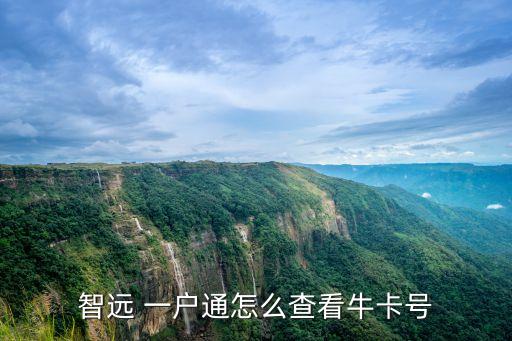 智遠(yuǎn) 一戶通怎么查看?？ㄌ?hào)