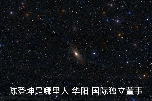 陳登坤是哪里人 華陽 國(guó)際獨(dú)立董事
