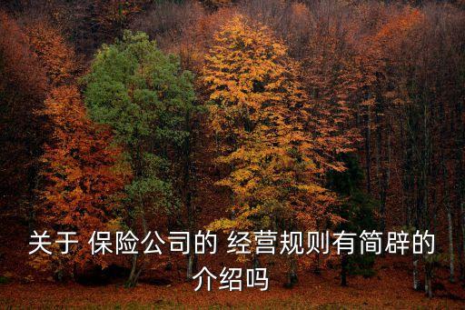 關(guān)于 保險(xiǎn)公司的 經(jīng)營規(guī)則有簡辟的介紹嗎
