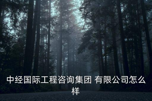 中經(jīng)國際工程咨詢集團(tuán) 有限公司怎么樣