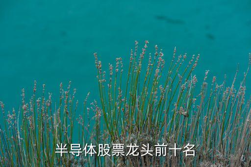 半導(dǎo)體股票龍頭前十名