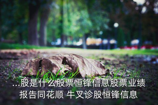 ...股是什么股票恒鋒信息股票業(yè)績(jī)報(bào)告同花順 牛叉診股恒鋒信息