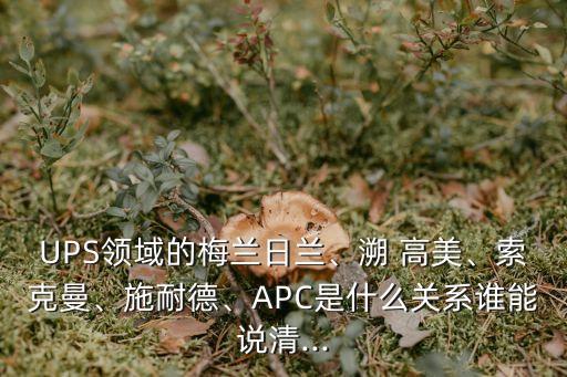 UPS領(lǐng)域的梅蘭日蘭、溯 高美、索克曼、施耐德、APC是什么關(guān)系誰能說清...