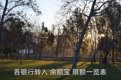 各銀行轉(zhuǎn)入 余額寶 限額一覽表
