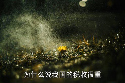 為什么說我國的稅收很重
