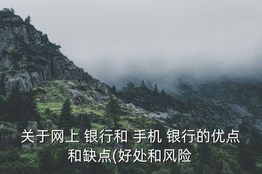 關(guān)于網(wǎng)上 銀行和 手機 銀行的優(yōu)點和缺點(好處和風(fēng)險