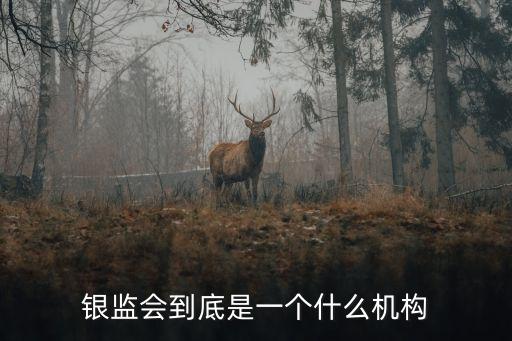 銀監(jiān)會(huì)到底是一個(gè)什么機(jī)構(gòu)