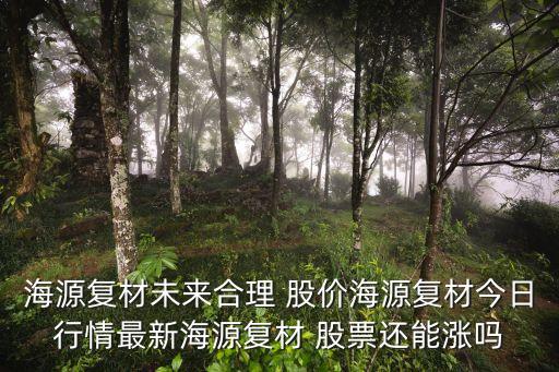 海源復(fù)材未來(lái)合理 股價(jià)海源復(fù)材今日行情最新海源復(fù)材 股票還能漲嗎