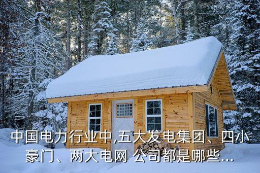 中國電力行業(yè)中,五大發(fā)電集團(tuán)、四小豪門、兩大電網(wǎng) 公司都是哪些...