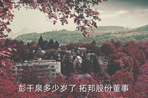 彭干泉多少歲了 拓邦股份董事