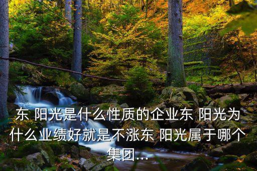 東 陽光是什么性質(zhì)的企業(yè)東 陽光為什么業(yè)績好就是不漲東 陽光屬于哪個集團...