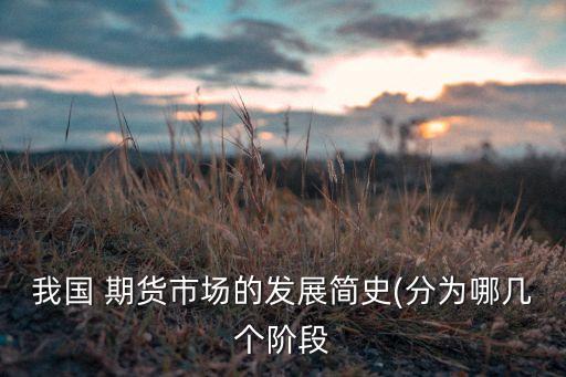 我國 期貨市場(chǎng)的發(fā)展簡(jiǎn)史(分為哪幾個(gè)階段