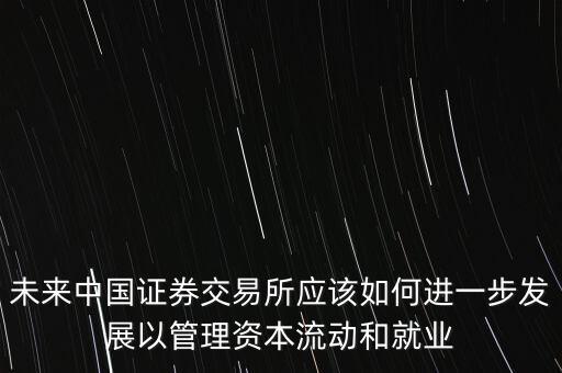 未來中國證券交易所應(yīng)該如何進(jìn)一步發(fā)展以管理資本流動和就業(yè)
