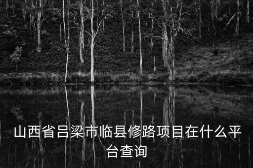 山西神州招標有限公司,山西中大國信國際招標有限公司