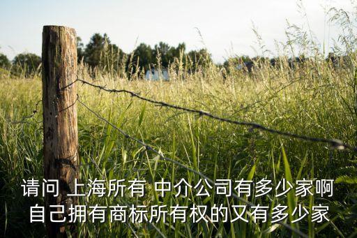 請(qǐng)問(wèn) 上海所有 中介公司有多少家啊自己擁有商標(biāo)所有權(quán)的又有多少家