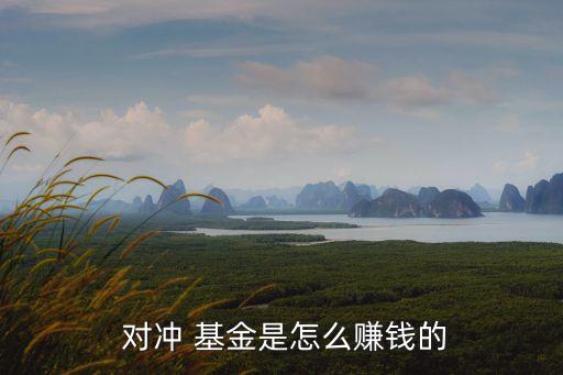  對(duì)沖 基金是怎么賺錢(qián)的
