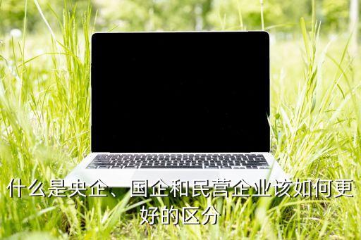 什么是央企、國企和民營企業(yè)該如何更好的區(qū)分
