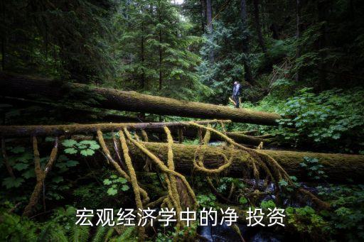 宏觀經(jīng)濟學(xué)中的凈 投資