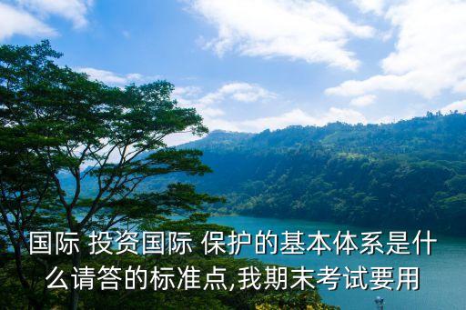 國際 投資國際 保護的基本體系是什么請答的標準點,我期末考試要用