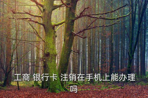  工商 銀行卡 注銷在手機(jī)上能辦理嗎