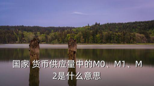 國(guó)家 貨幣供應(yīng)量中的M0、M1、M2是什么意思