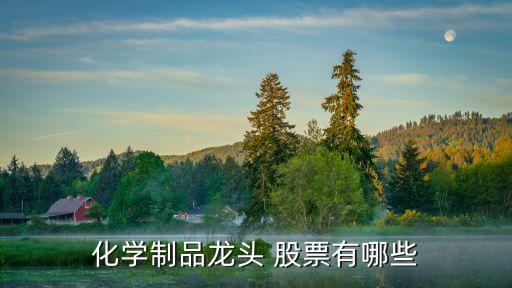 化學制品龍頭 股票有哪些