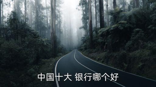 中國十大 銀行哪個好