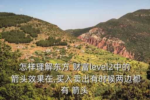 怎樣理解東方 財(cái)富level2中的 箭頭效果在,買入賣出有時(shí)候兩邊都有 箭頭