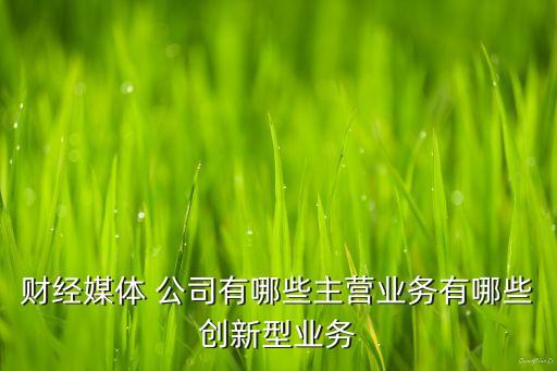 財經媒體 公司有哪些主營業(yè)務有哪些創(chuàng)新型業(yè)務