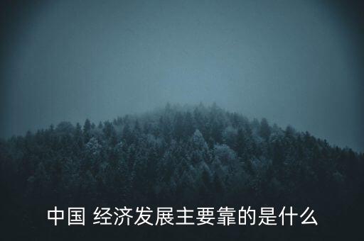 中國 經濟發(fā)展主要靠的是什么