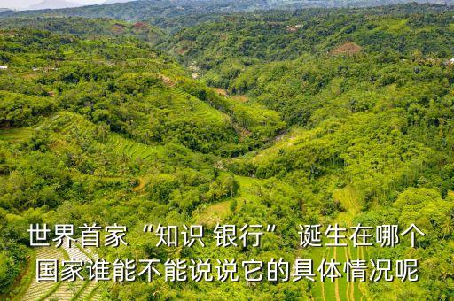 世界首家“知識(shí) 銀行” 誕生在哪個(gè)國(guó)家誰能不能說說它的具體情況呢